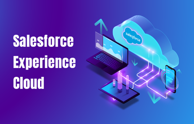 How Can Salesforce Experience Cloud Empower Your Sales Team?