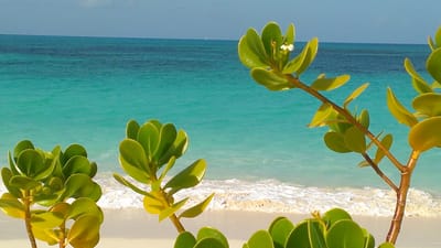 Meditation in Bewegung: HI-CHI image