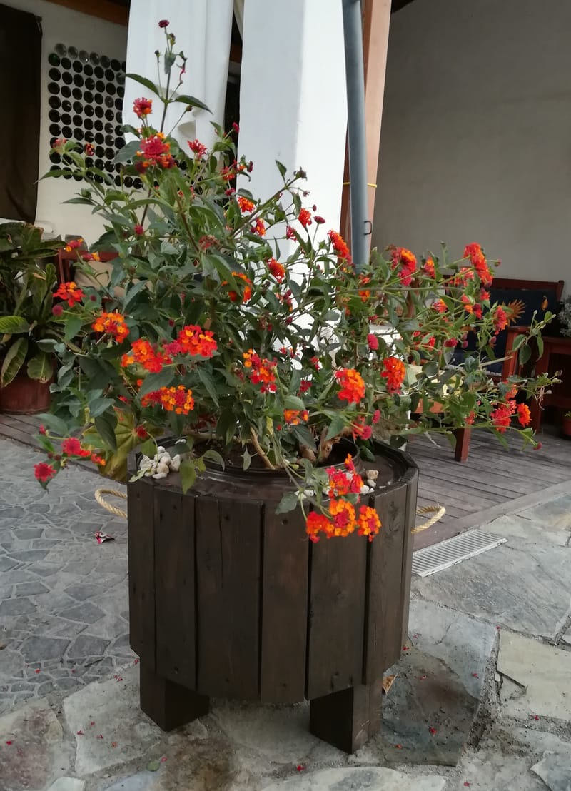 REUTILIZAR tambores de lavadora y transformarlos en MACETEROS