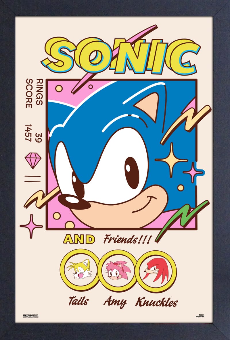 Sonic - Sonic and Friends