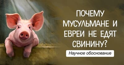 Почему нельзя кушать свинину?