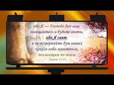Не только коронавирус. Чем можно заразиться, съев мясо диких животных?