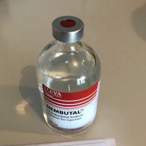 NEMBUTAL PENTOBARBITAL