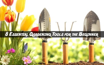 8 Essential Gardening Tools For Beginners