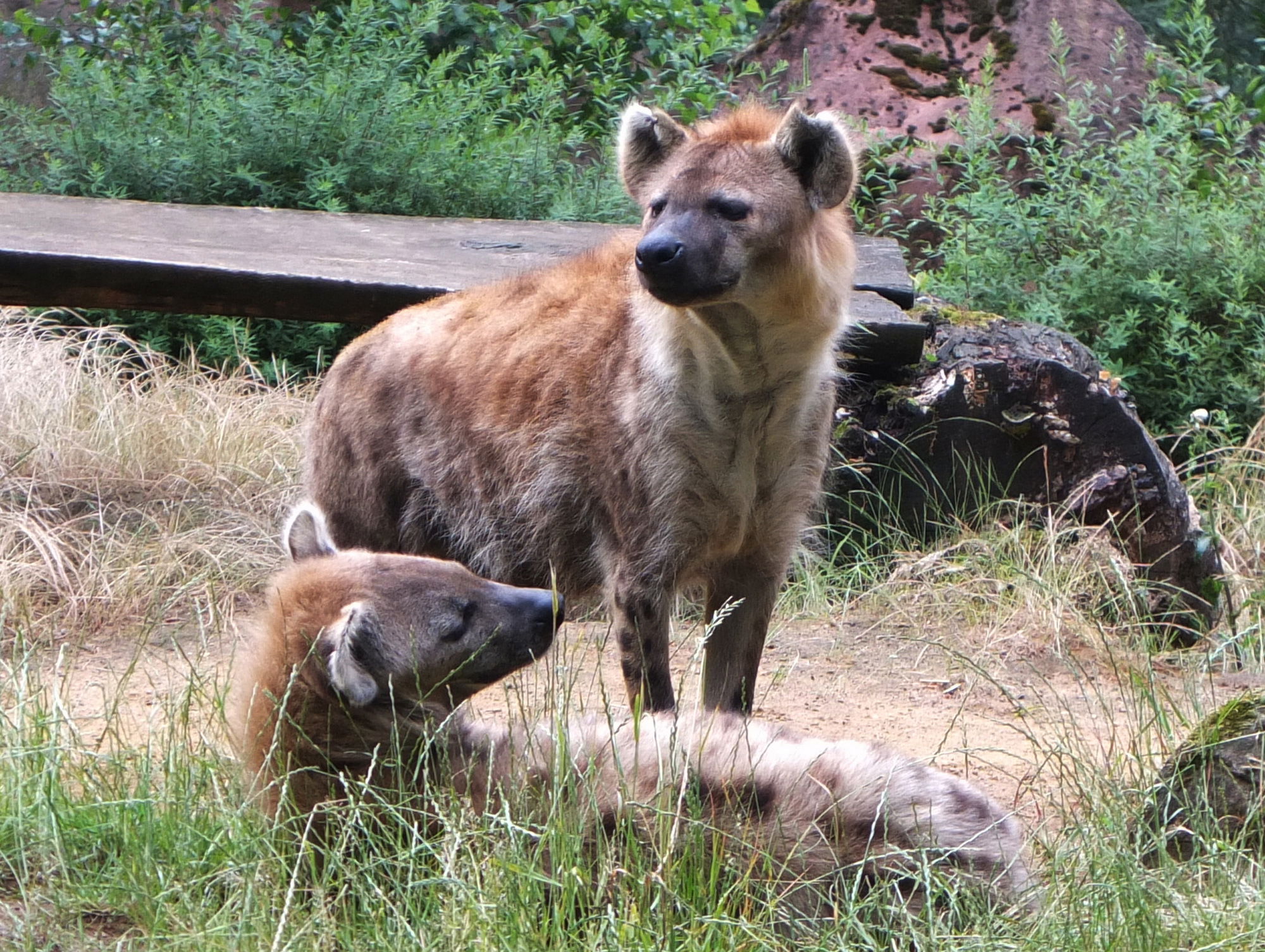 Besuch im ZOOM - 1