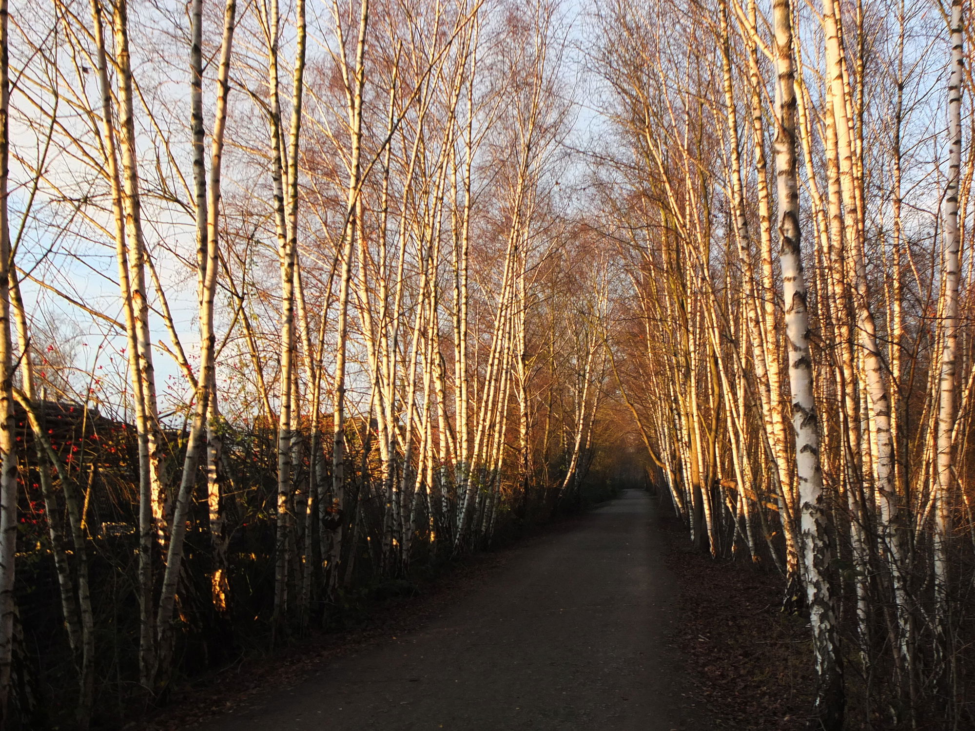 Sonne in Ückendorf