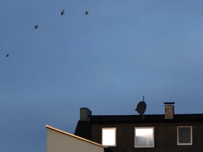 Himmel über Ückendorf