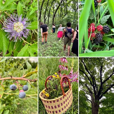 Vedasaurus & Sacred Earth Arts image