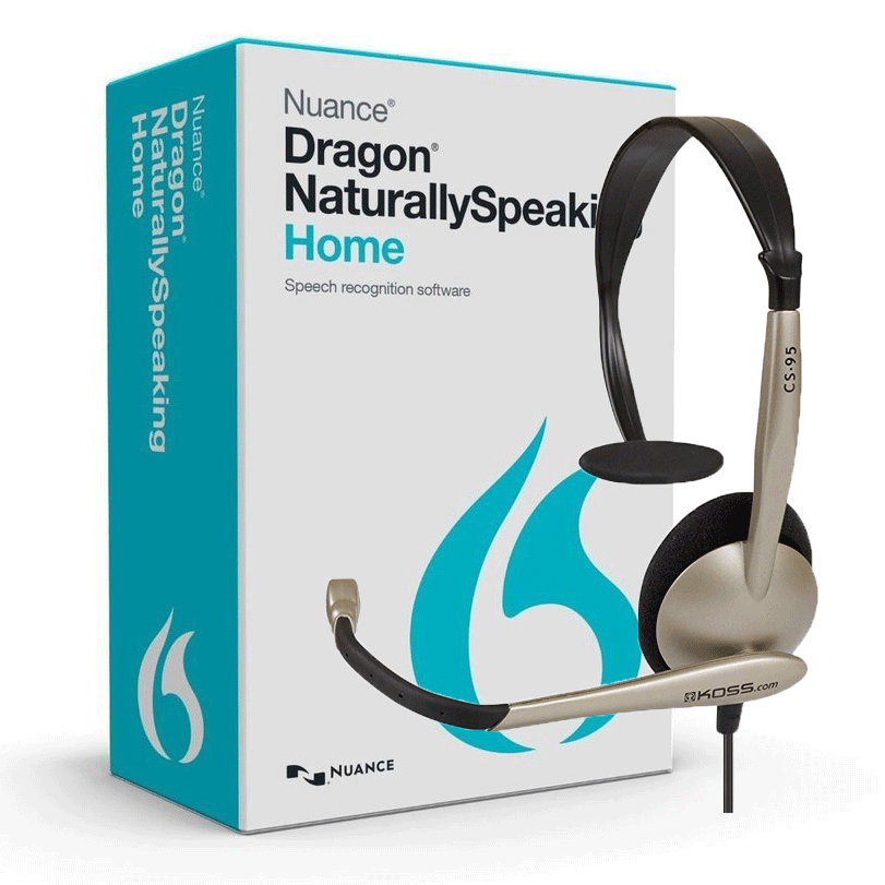 Web Extension Feature Limitations of Dragon Naturally Speaking 13