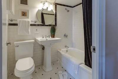 bidet toilet 2 image