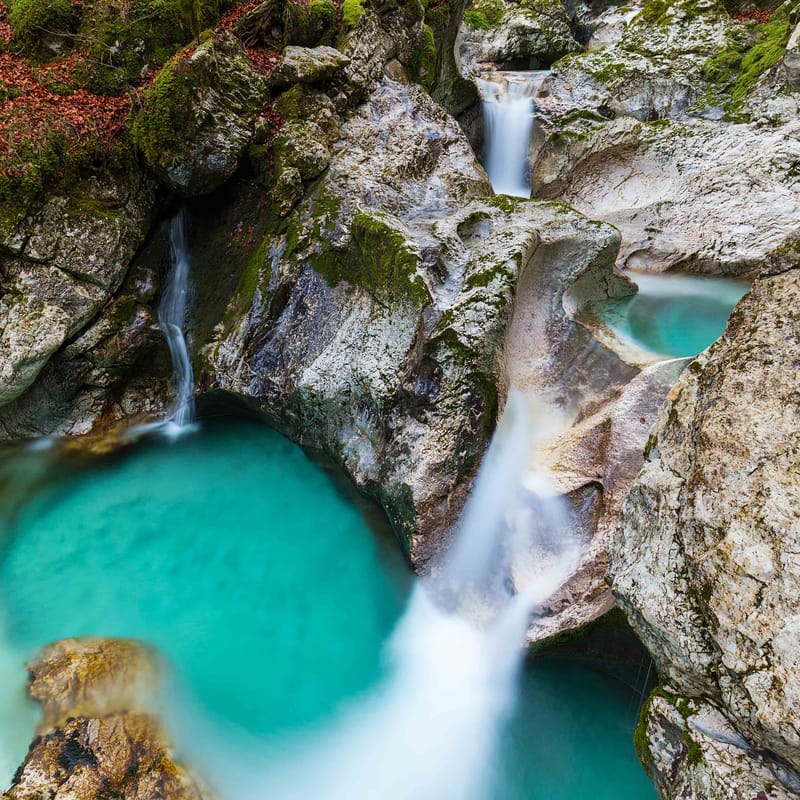 The Šunik water grove