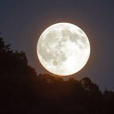 Fases Lunares 2020