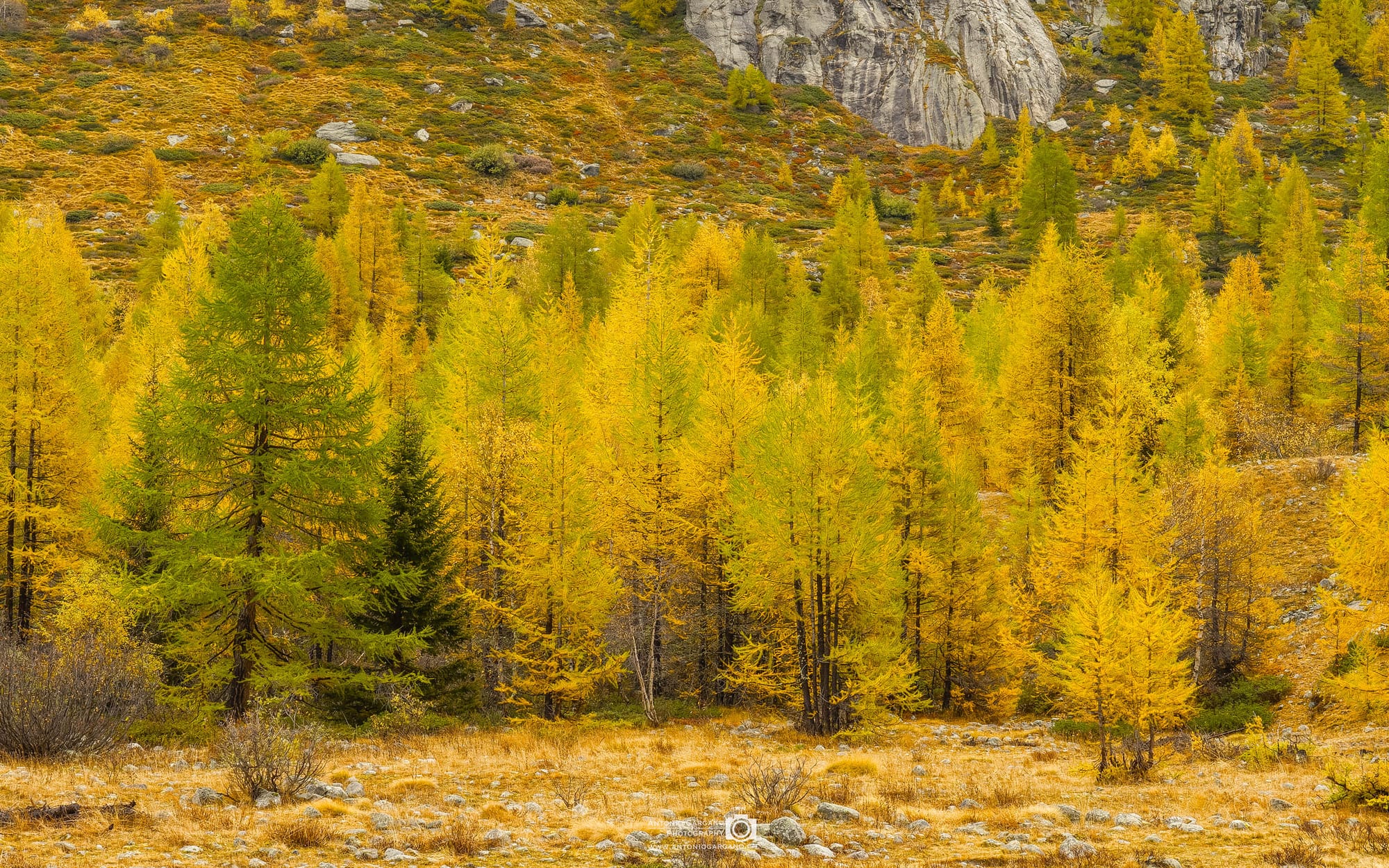 Wallis im Herbst