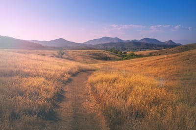 memorias de un desmemoriado III (o IV, no me acuerdo) image