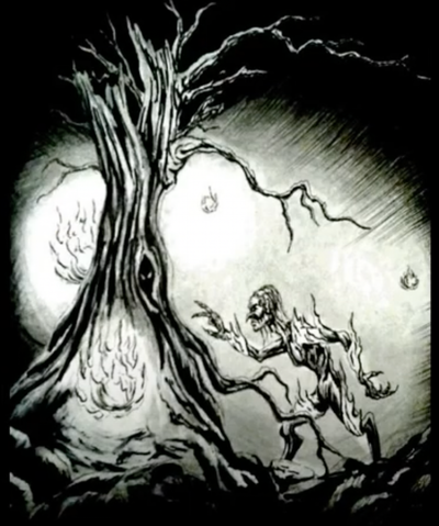 el álamo grande image