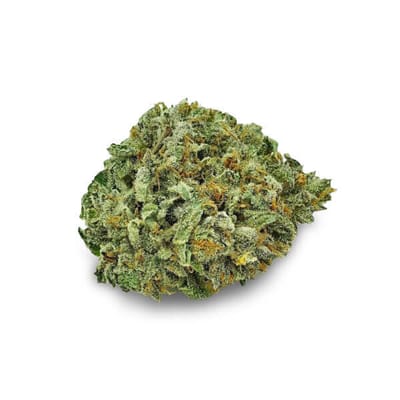Godfather OG: The Strongest Cannabis Strain