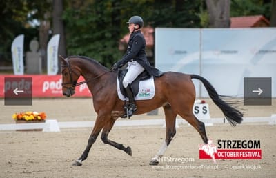 Talent takes 2nd in CCI4*L in Strzegom