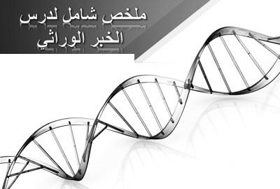 (الخبر الوراثي (أليات تعبيره
