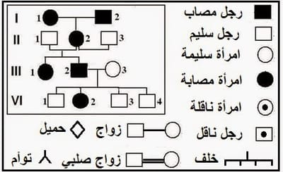 الوراثة البشرية