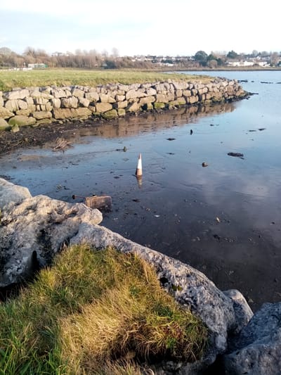 Problems Lough Atalia face