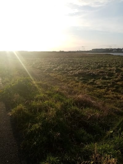 References for Lough Atalia