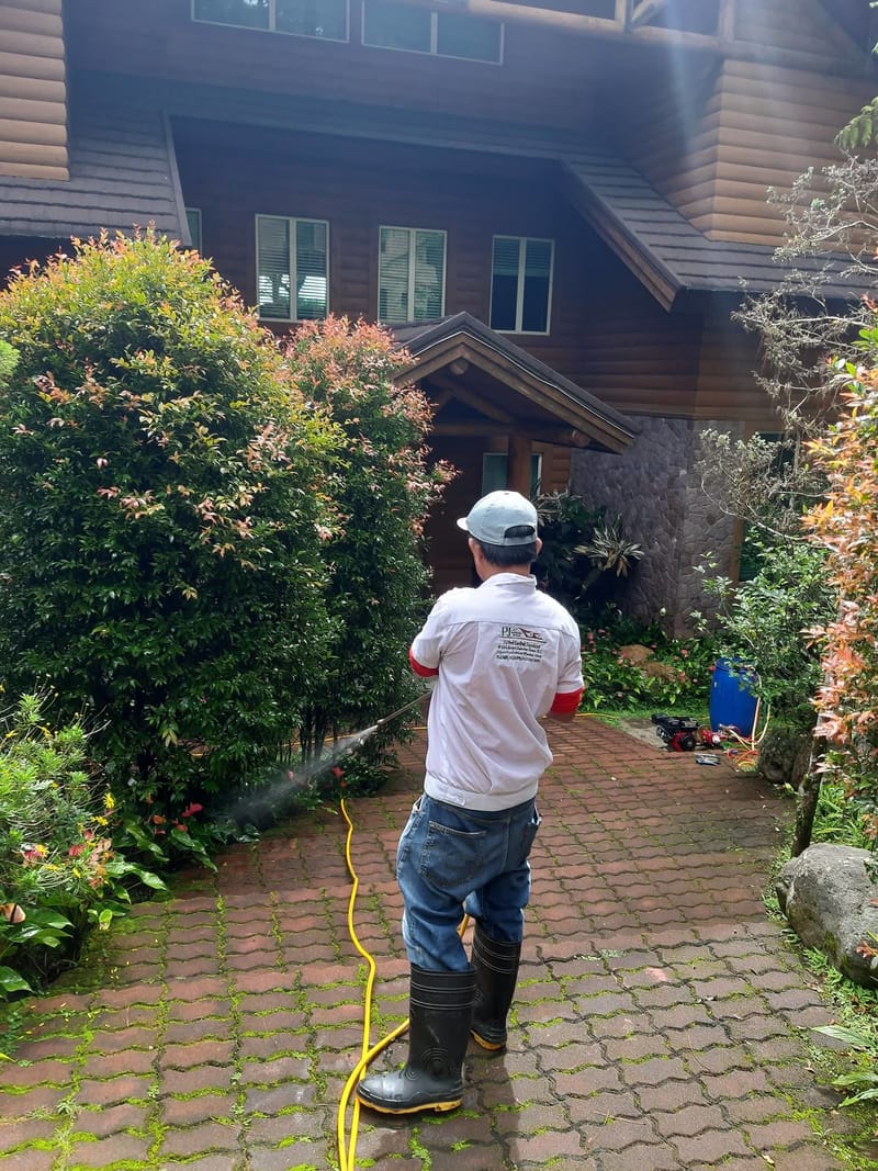 TERMITE CONTROL SERVICE