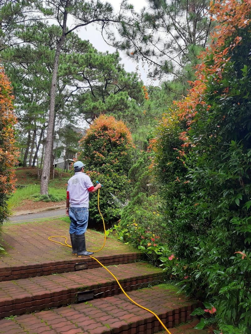 TERMITE SPOT TREATMENT
