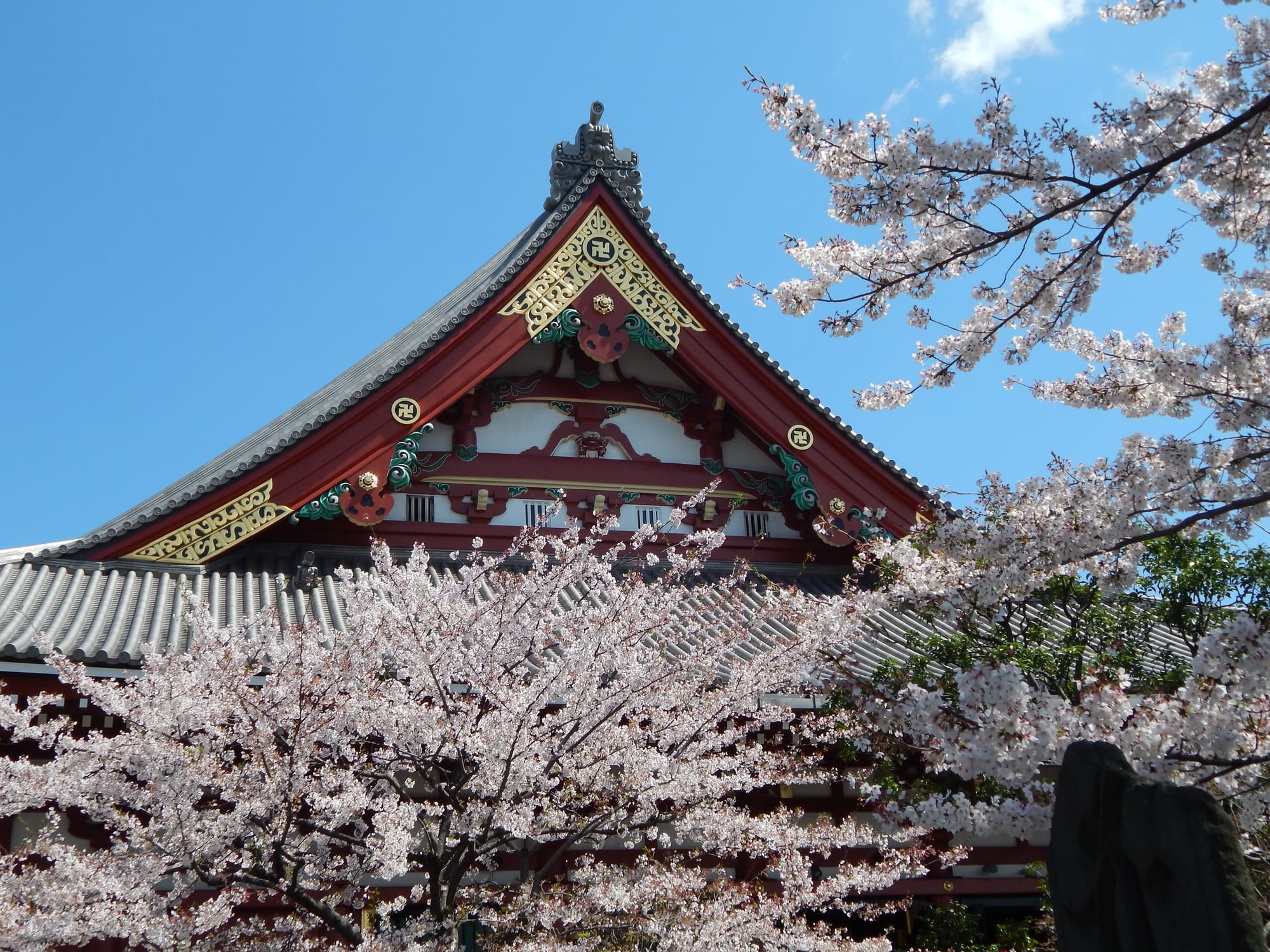 Tommy Bryson - Nikon D3300