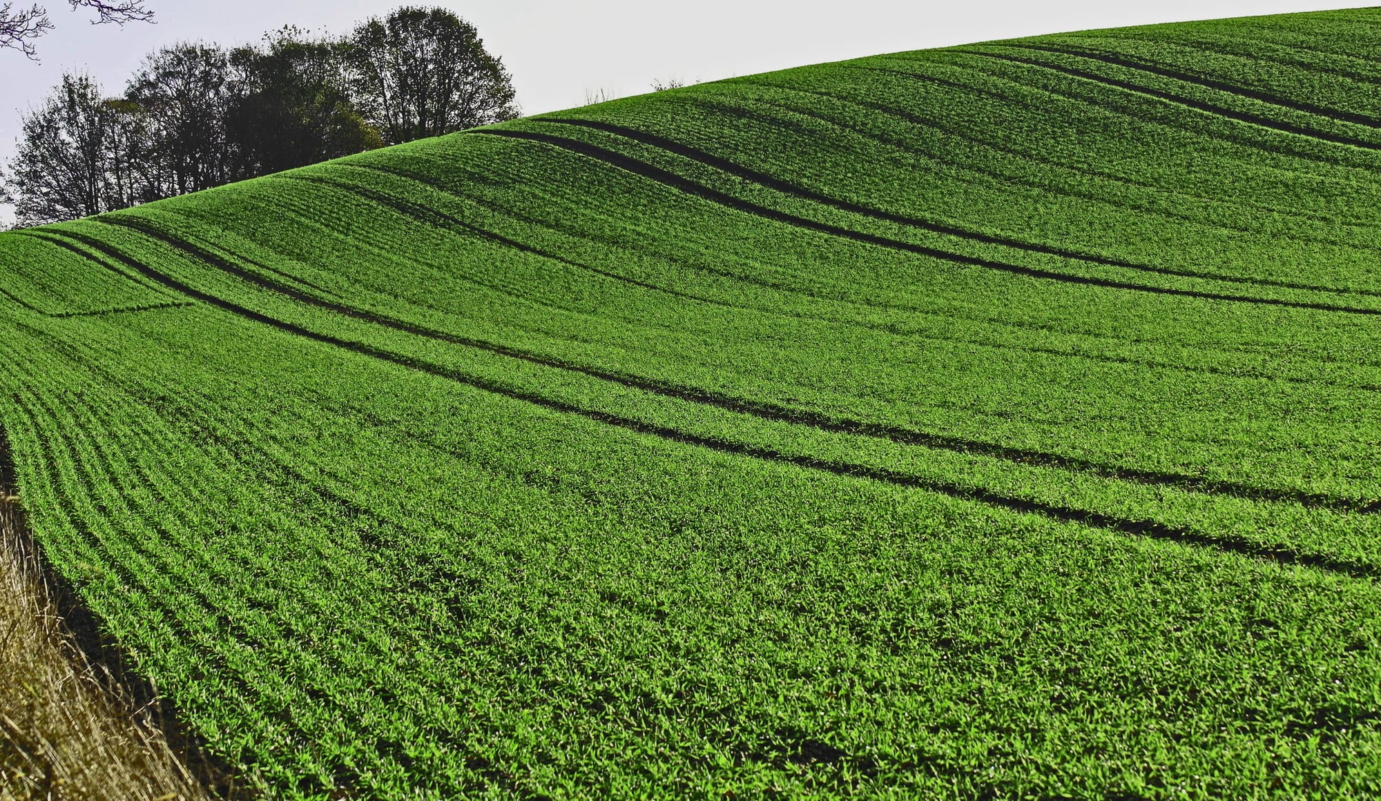 Mike Anastasio - Samsung NX1000