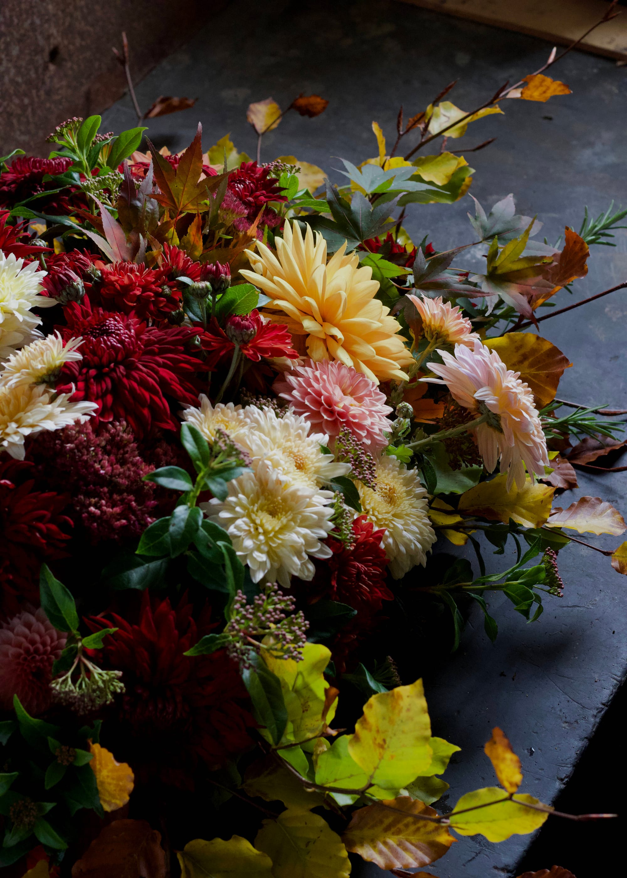 Autumn Chrysanthemum spray