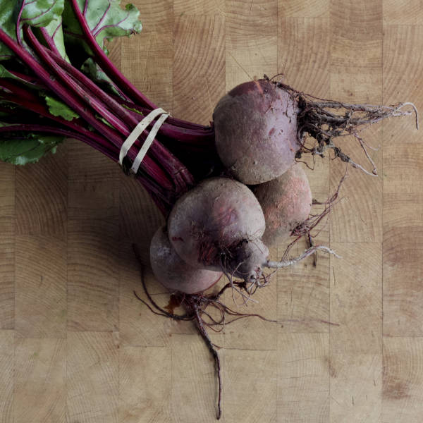 Beetroot - Roots
