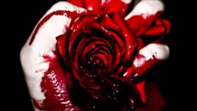 Quotes | Στιχάκια