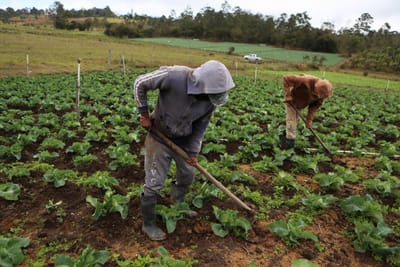 Law Social Sector of the Economy