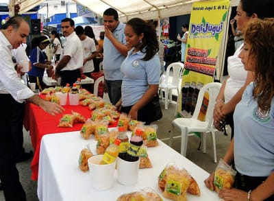 Ley de Apoyo a la Micro y Pequeña Empresa