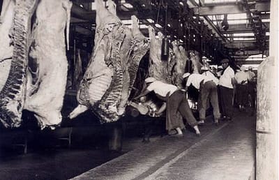 MODELO AGROEXPORTADOR
