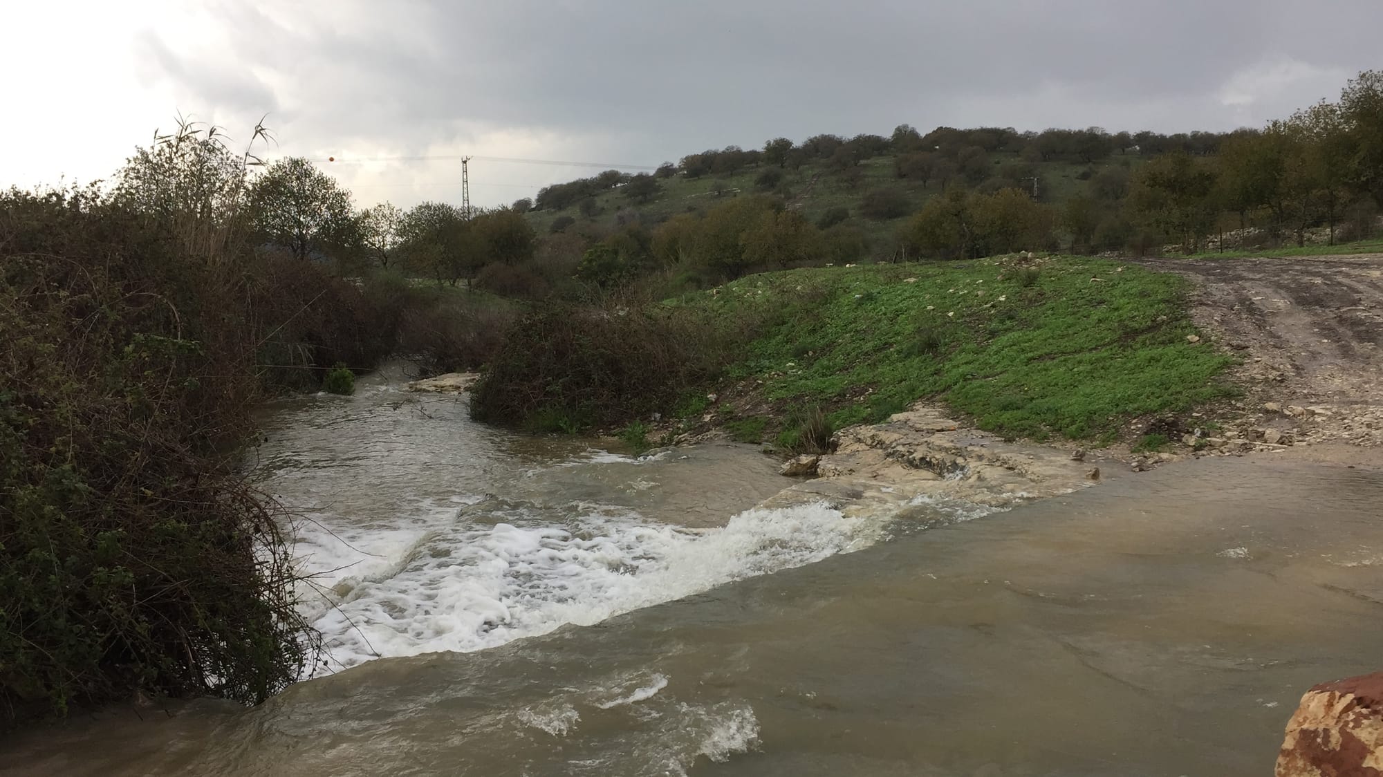 על בריאות וחומרי הדברה. מגזין בריאות וסביבה 2012