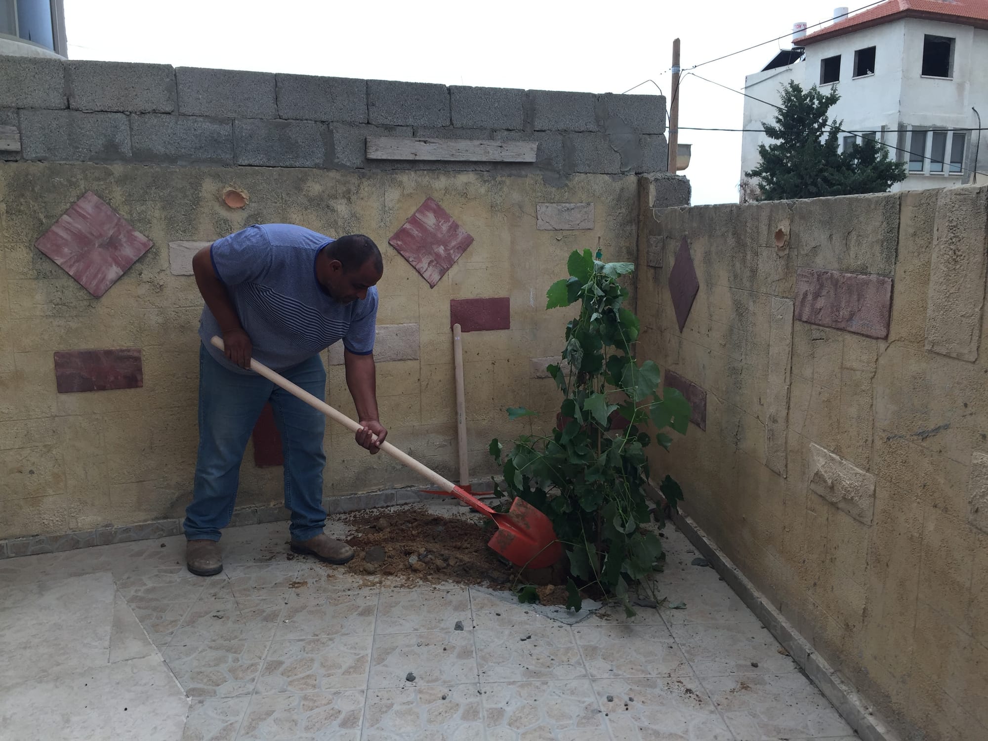 פיילוט של טיפול בסמטאות והצללה של הרחובות בכפר ג'יסר אל זרקא