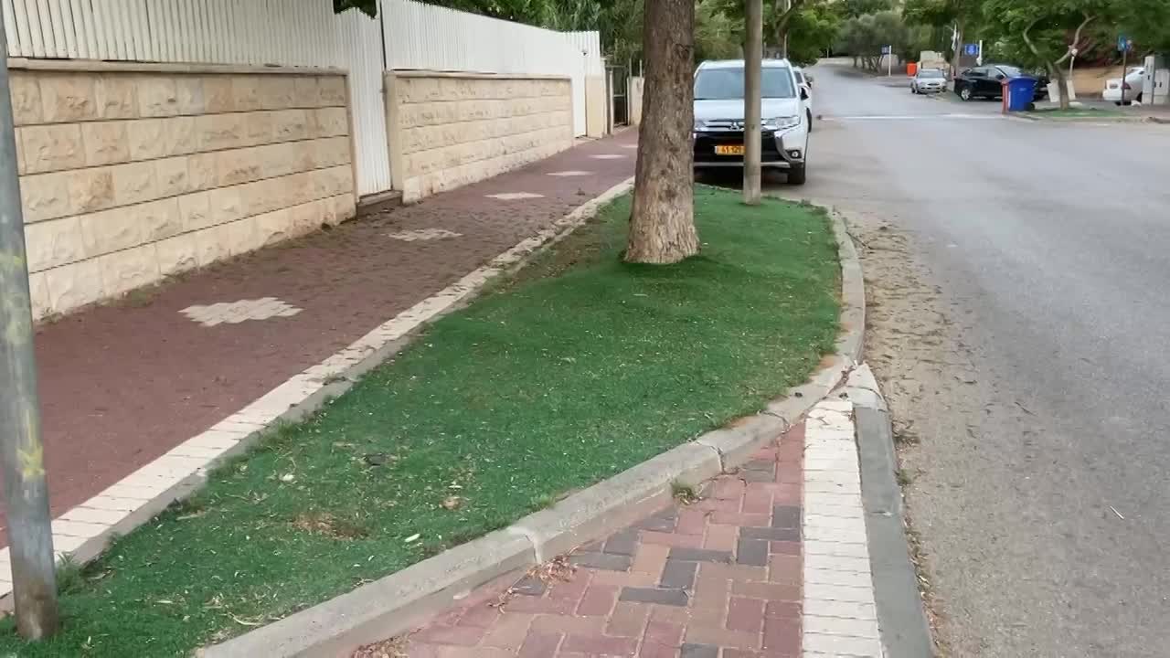 מה הבעיה עם דשא סינטטי?