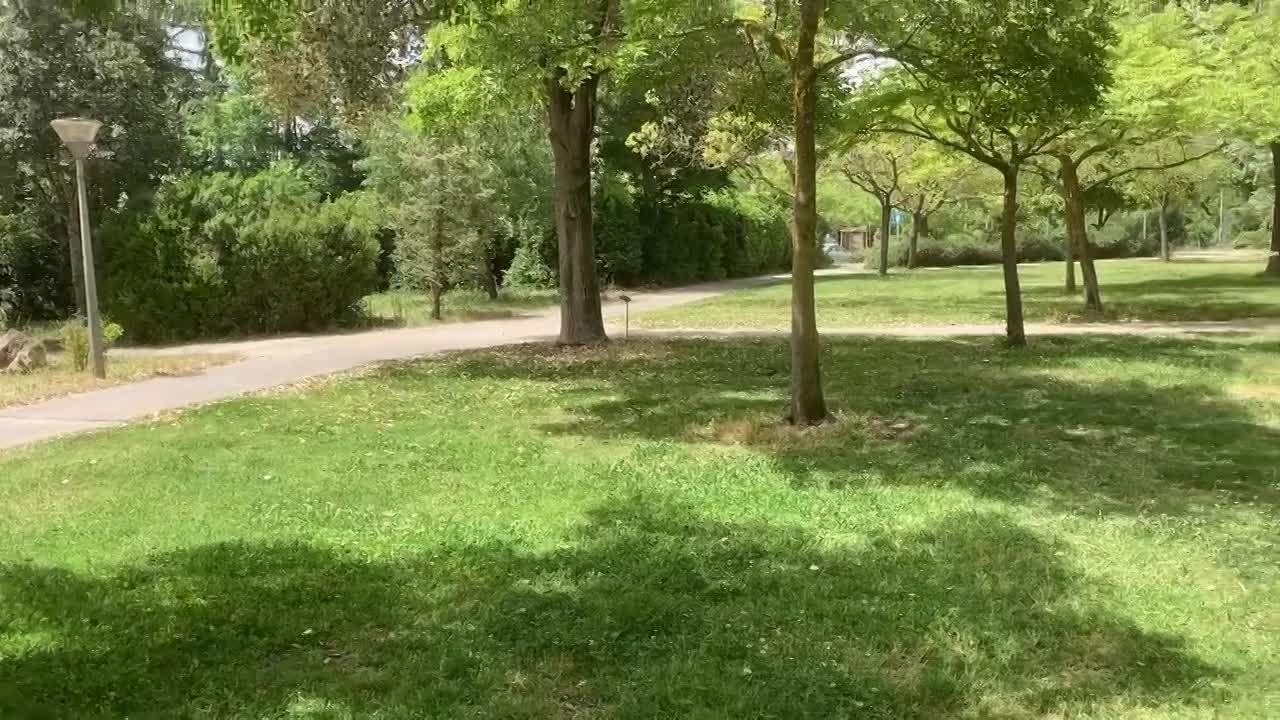 הפחתת ריסוסים ומזיקים בגינון.