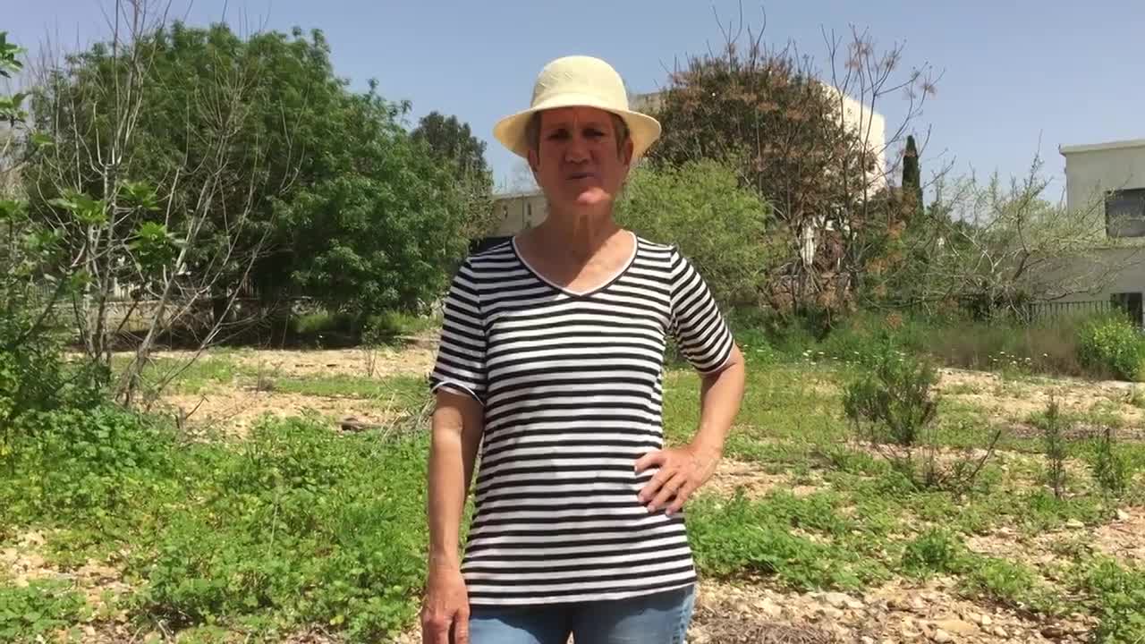 אובדן קרקע בגלל ריסוסים