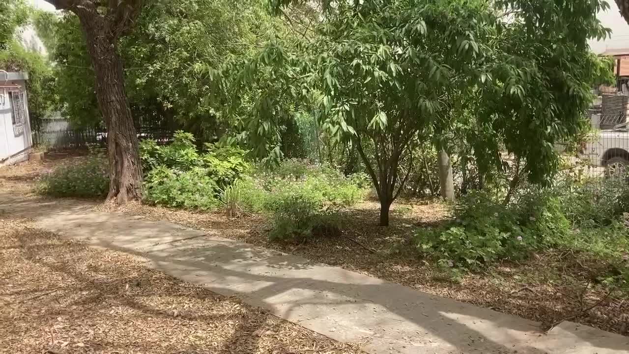 גינון בר קיימא בגזר