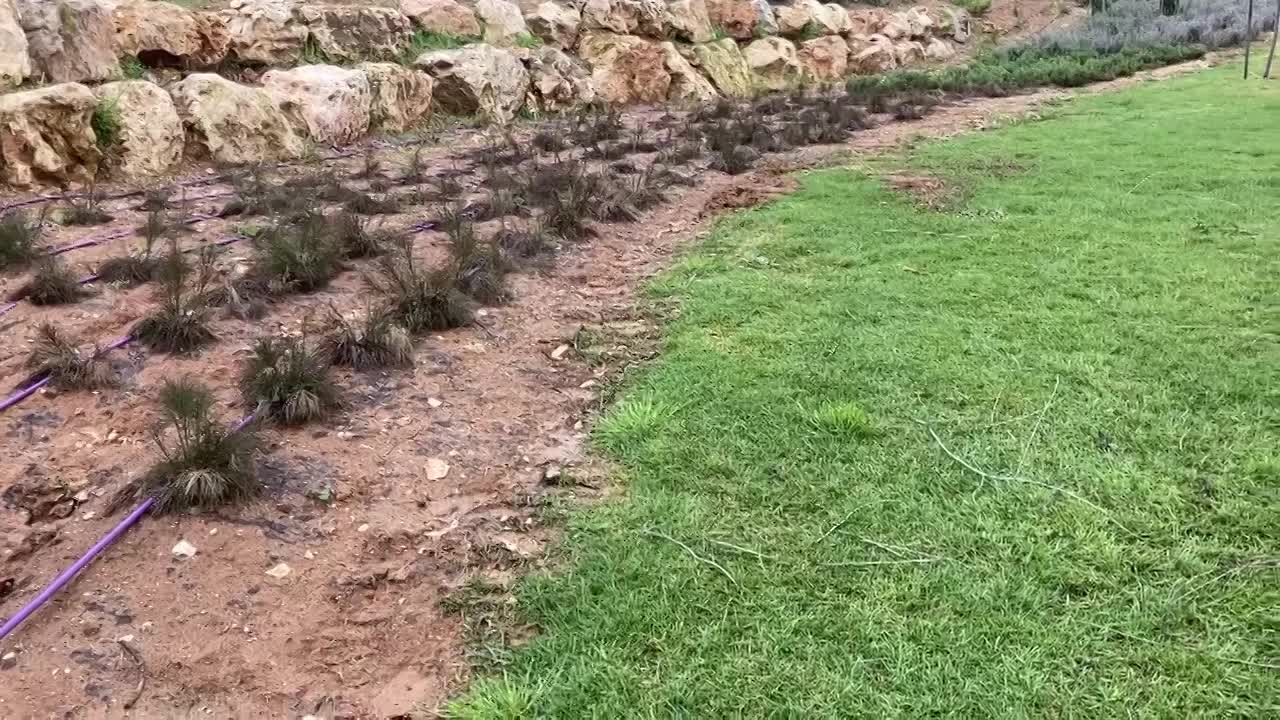 ריסוס הגן ויצירת שטח נקי ללא עשבייה גורם לסחף ואובדן אדמה.