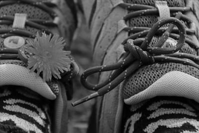 Take it easy (The beginning)