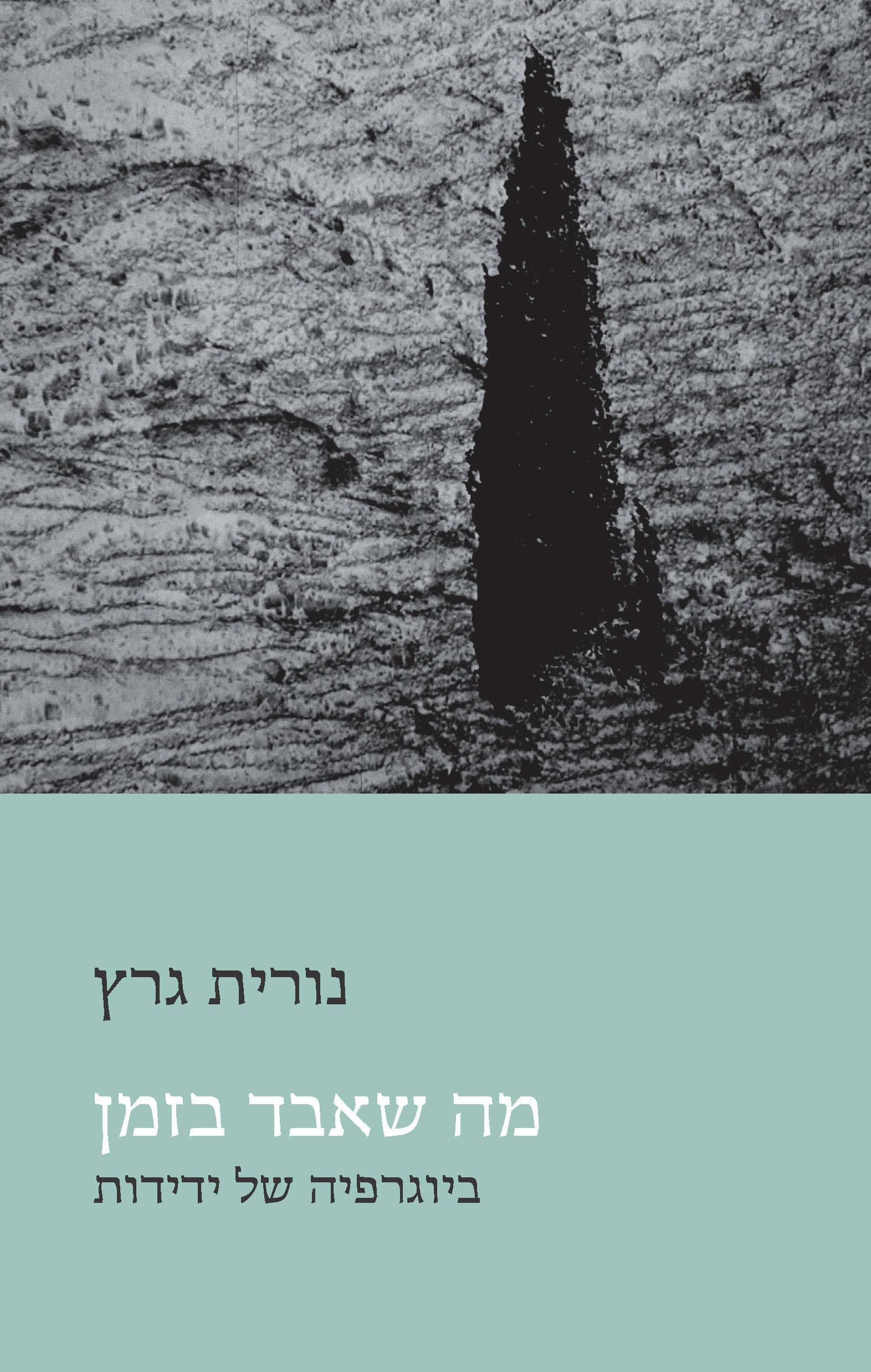 מה שאבד בזמן / נורית גרץ / דביר