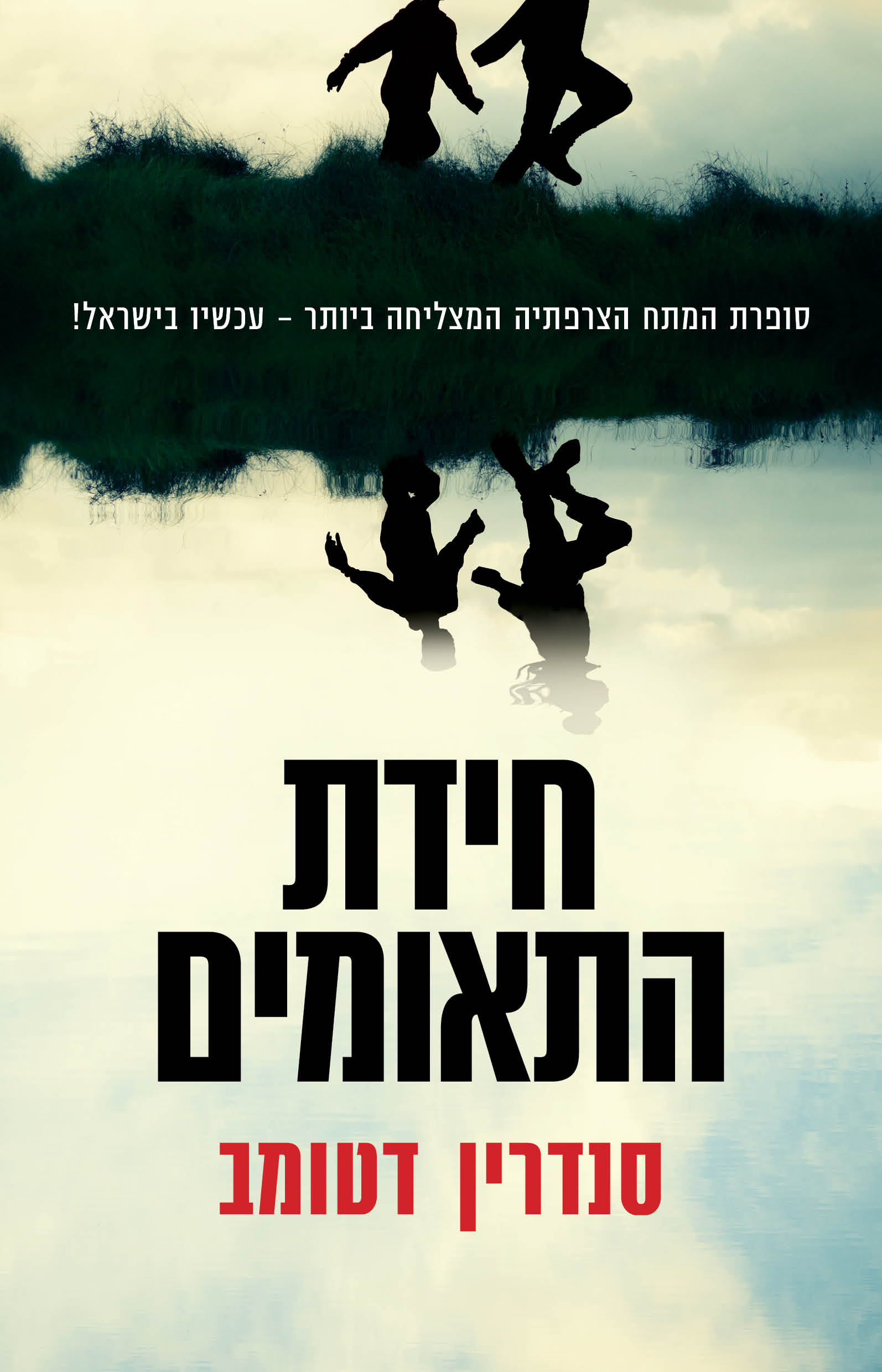 חידת התאומים / סנדרין דטומב / כינרת