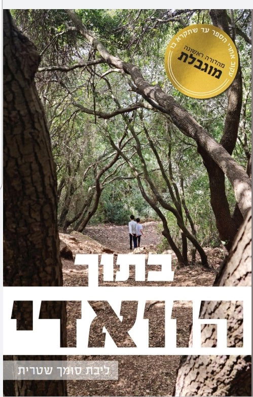 בתוך הוואדי / ליבת סומך שטרית / ליבוקס