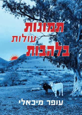 תמונות עולות בלהבות / עופר מיכאלי / הוצאה גלילית