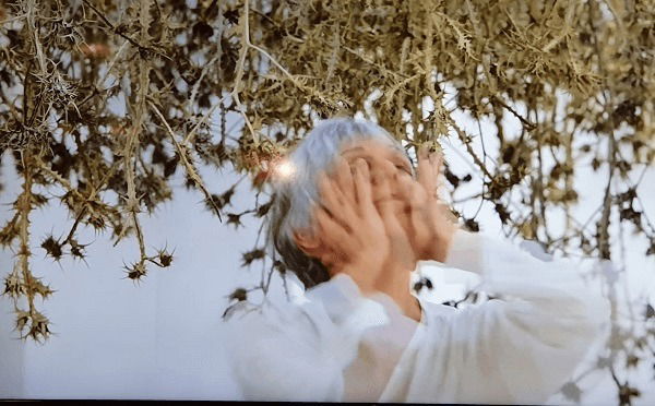 The brewery: Naomi Zach/Dependent fields