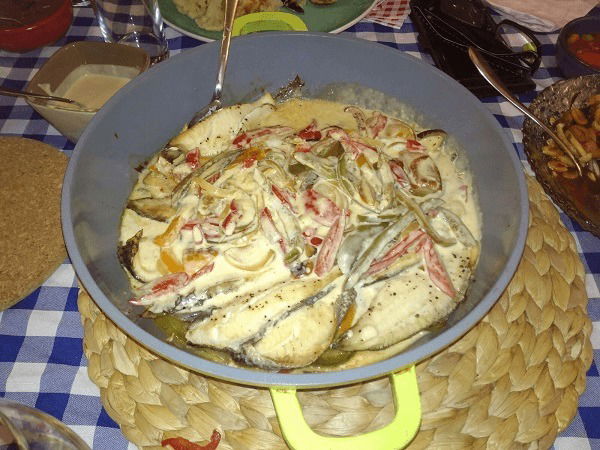 Chef Daniel Katz Hosting