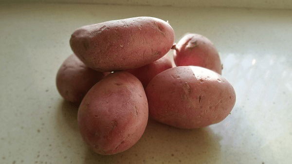 Lag BaOmer Omer: The culinary star potato